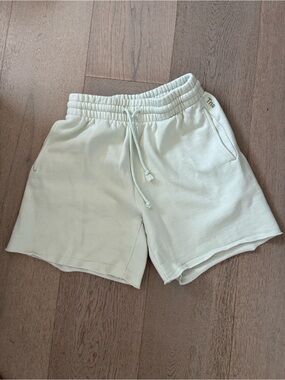 Aritzia - TNA - light green Shorts